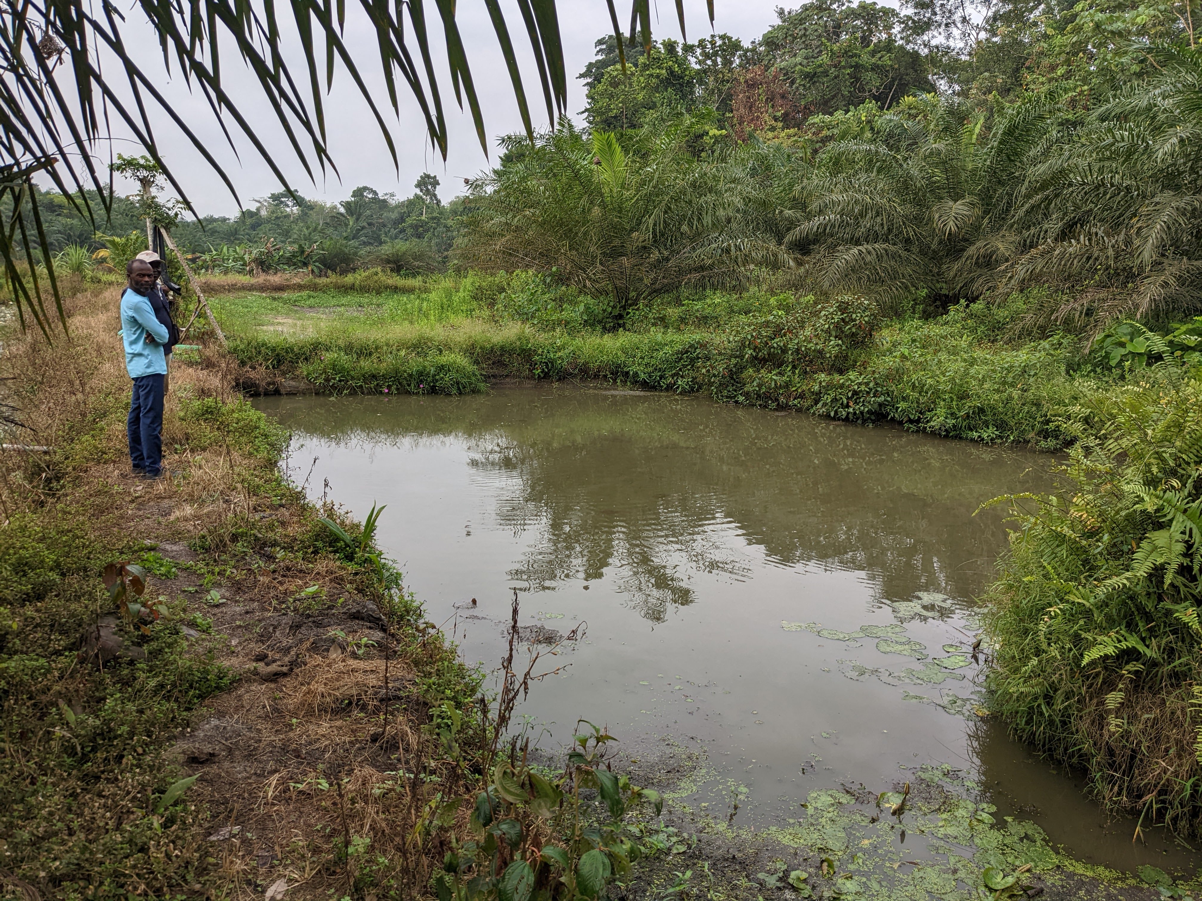 Fish farm near Aboisso, Côte d'Ivoire